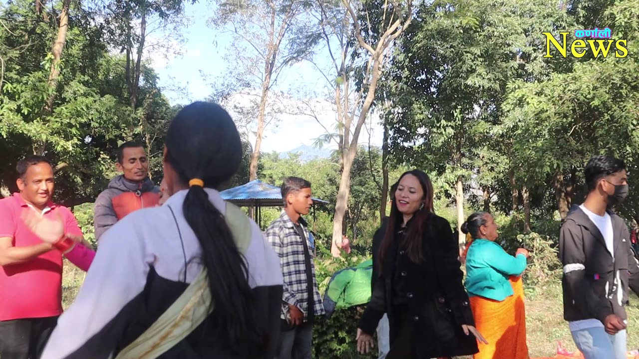 Surkhet bulbula