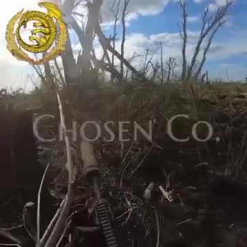 +18 Disturbing Video showing dead and wounded