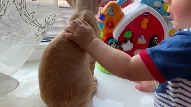 cute baby