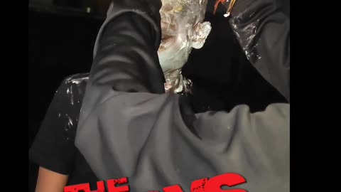 THE BOYS BIRTHDAY celebration