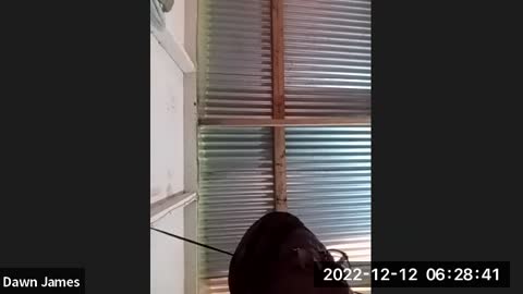 Daniel and Revelation. Monday 12th Dec.2022. 10am. Brother E. Rainney