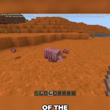 Ultimate Guide to Armadillos: Minecraft Java Edition Review
