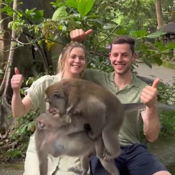 Monkeys are having fun piggybacking