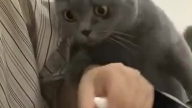 Well, give me a shrimp! 🍤