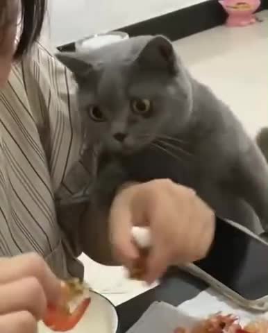 Well, give me a shrimp! 🍤