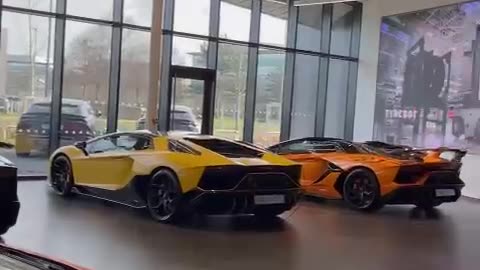 A day at lamborghini Hatfield