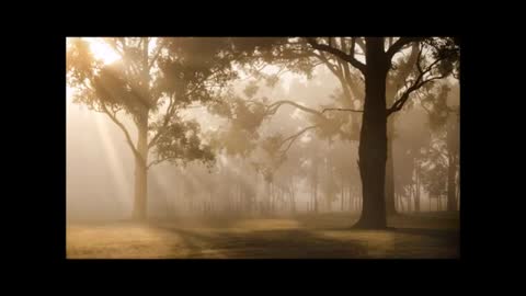 Relaxing Music | Sleeping, Meditation, Stress Relief | [6118] ⭐️