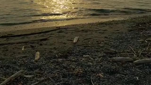 Ebey’s Landing beach without music