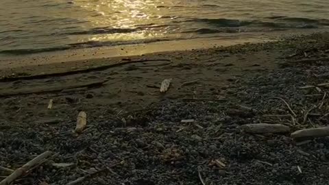 Ebey’s Landing beach without music