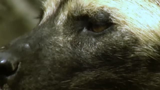 What Goes Around Comes Back Around