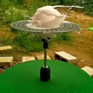 Like A Boss Compilation! Amazing People 2022 Respect✌ #19