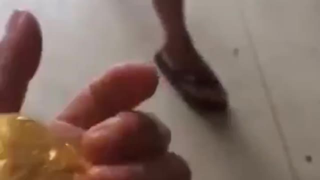 Electronic Garbage Extraction of Large Gold Blocks, this Purity is very Beautiful