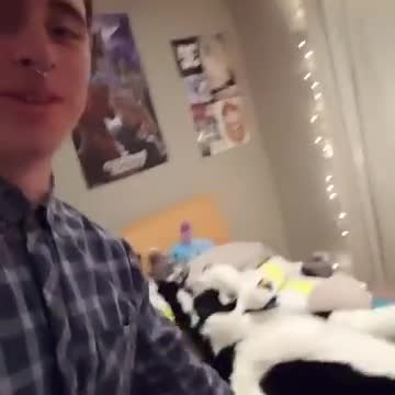 I got this weird stuffed animal vine