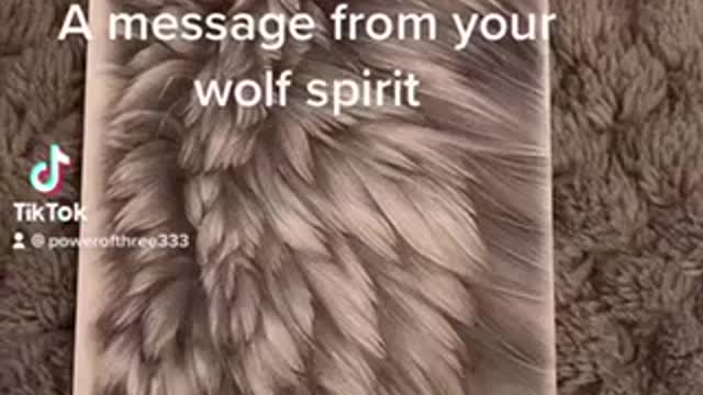 A message from your wolf spirit