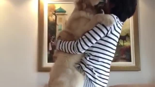 Cute Dogs getting hugs🥰 and kisses😘!!