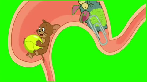 Tom and Jerry cartoon