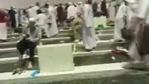 cockroach in Mecca