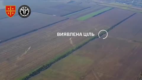 Ukrainian Artillery Shreds Russians in the Treeline