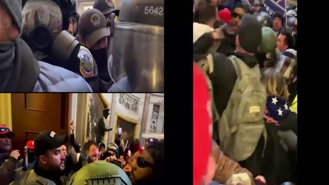 East Capitol Rotunda Door Fight ~3:18-3:19 pm - Jan 6th