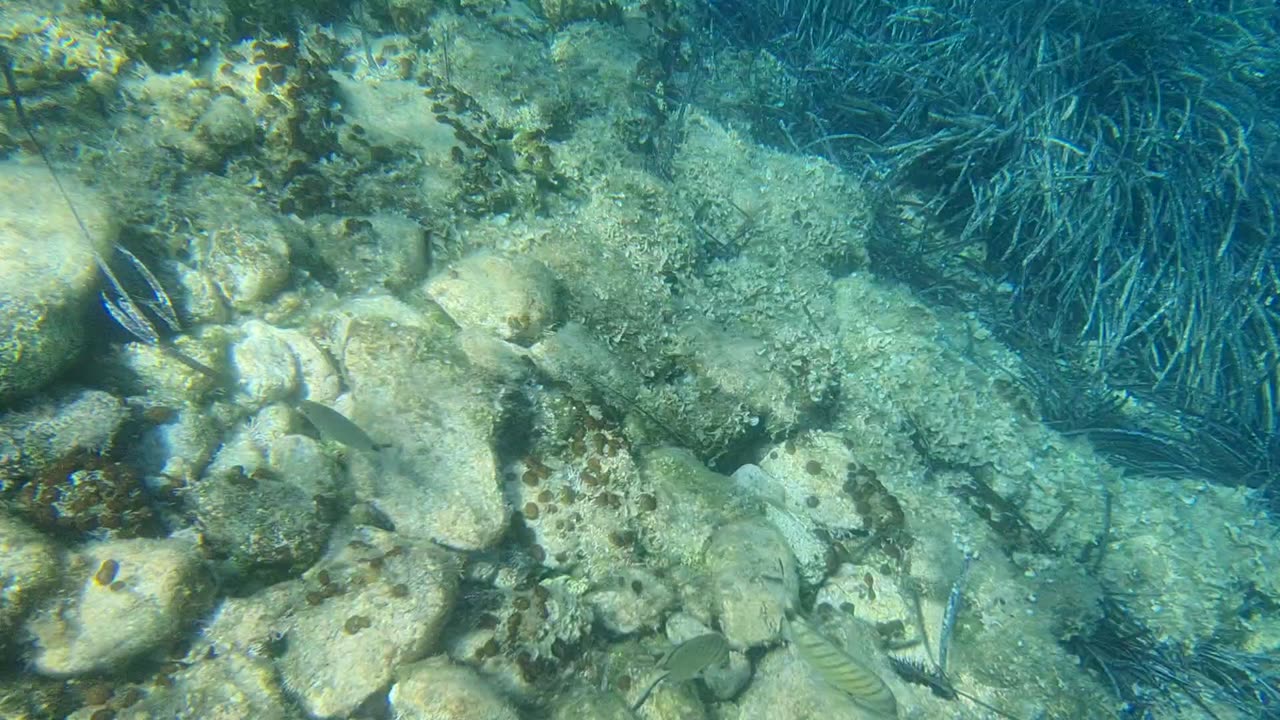 Underwater video Croatia saving beer from deep waters