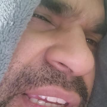 20240202 - blog 1 - golden retriever