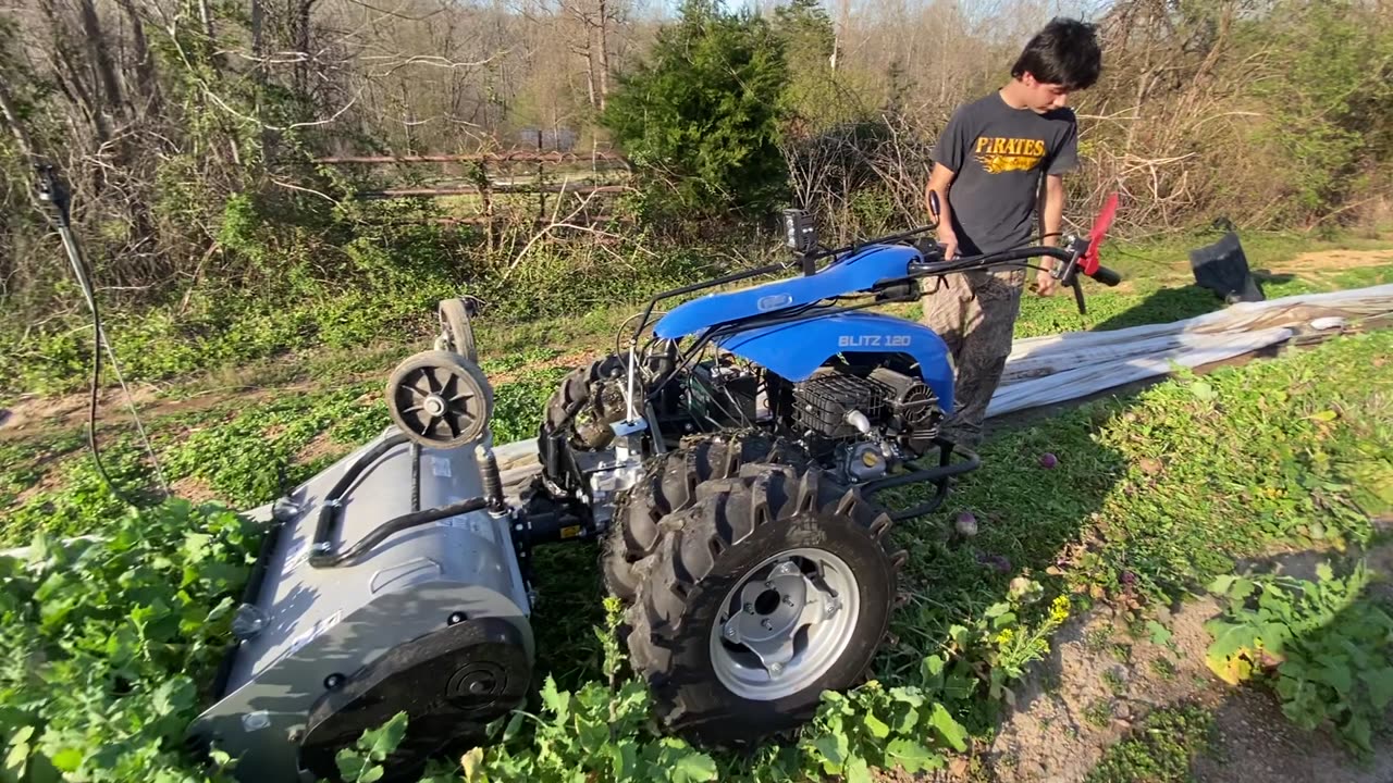 Blitz 120 Flail mowing Turnips / Radish