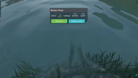 Missle Fish on Ultimate Fishing Simulator