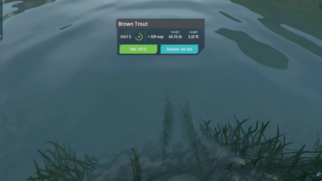 Missle Fish on Ultimate Fishing Simulator