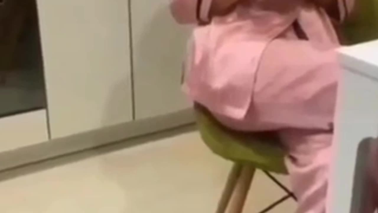 Cat and dog funny