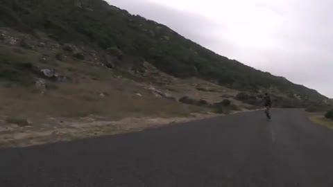 Cyclists chased by an ostrich. The funniest thing you'll see today