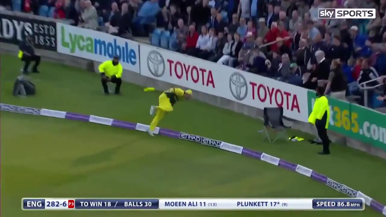 Best Catches in Cricket History! Best Acrobatic Catches!