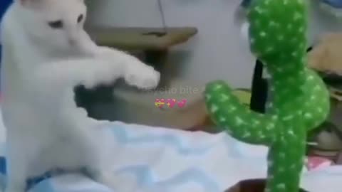 CAT PUNCHING ON TOYS