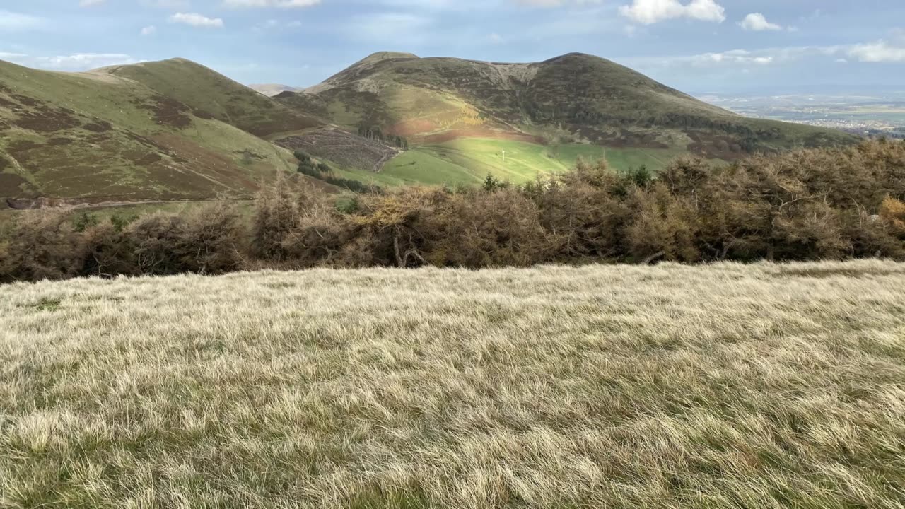 Patie's Hill, Spittal Hill, Green Law and Cap Law - The Carlops northern loop
