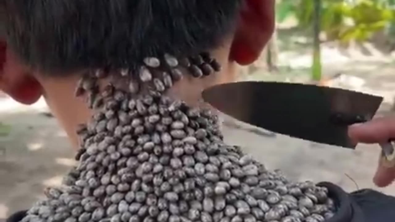 Satisfying video that is not satisfying