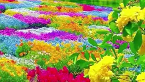Very Fantastic Greenery Pictures|Amazing Nature
