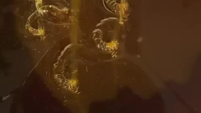 Filtering Honey