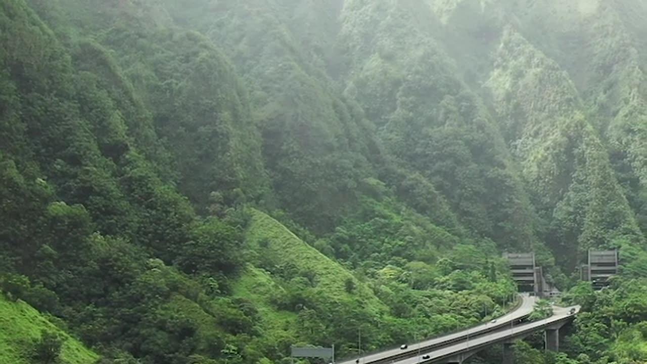 An Elevated Highway