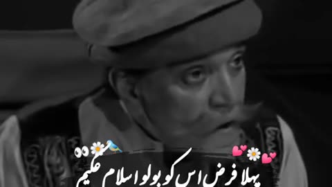𝙥𝙖𝙩𝙝𝙖𝙣 𝙖𝙩𝙩𝙞𝙩𝙪𝙙𝙚 𝙤𝙛 𝙩𝙝𝙚 𝙙𝙖𝙮 #foryou #poetrystatus #sadpoetry #standwithkashmir #dastoorwritess