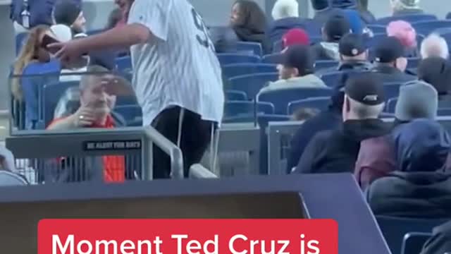 Moment Ted Cruz is booed at Yankee Stadium