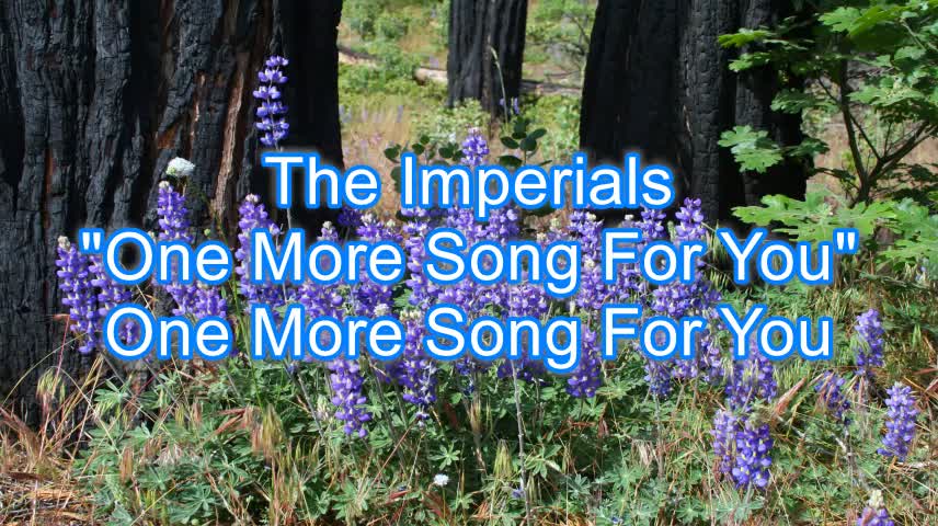 The Imperials - One More Song For You #300