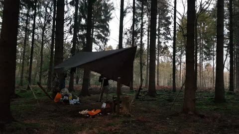 Taking down a tarp in the woods. 22wnd Jan 2023