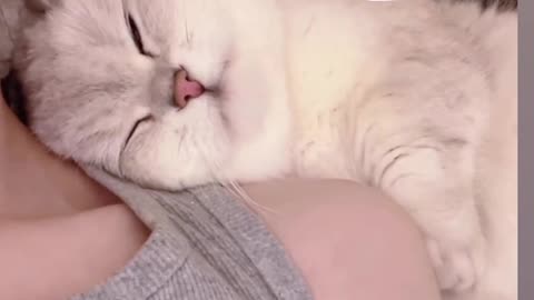 How cute 🥰🥰😘❣️😹💯👍🔥☺️