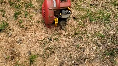 Cooking a stump Part1