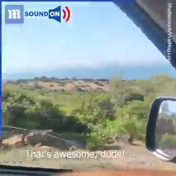 Asking a COW for Directions