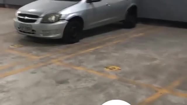 Try not to laugh |🤪