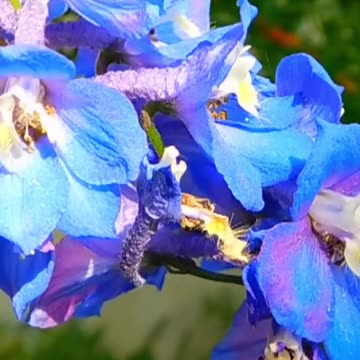 Find Your Calm: Discover How Relaxing This is! Volume 79