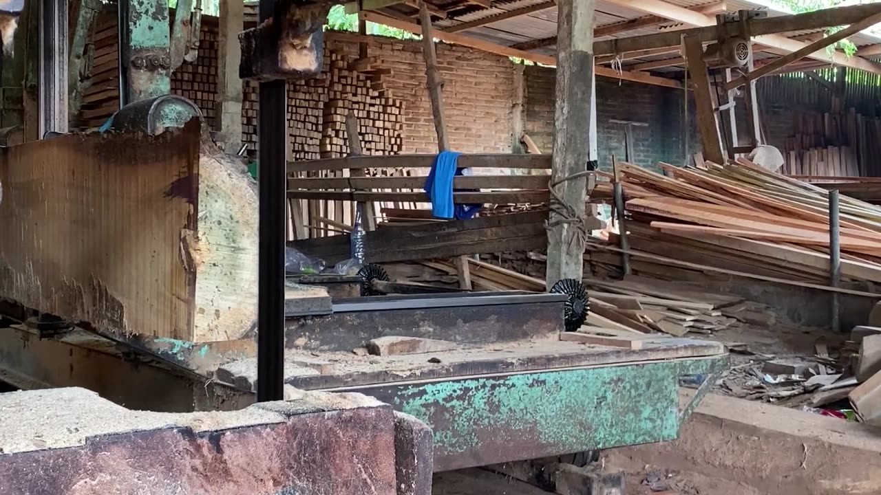 Devil's Wood Sawing Makes Kudu Feathers Merinding,Mysterious Wood From Angker Valley