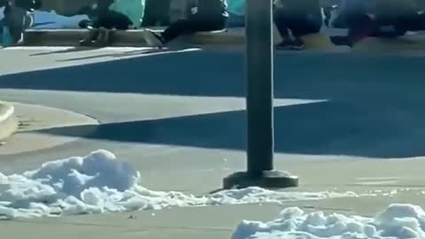 Fairfax County VA: Teacher reads to kids outside in 24 degree weather