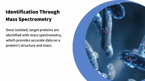 Fusion Protein Interaction Analysis Service