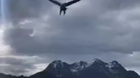 This is Called Concentration #shorts #shortvideo #video #virals #videoviral